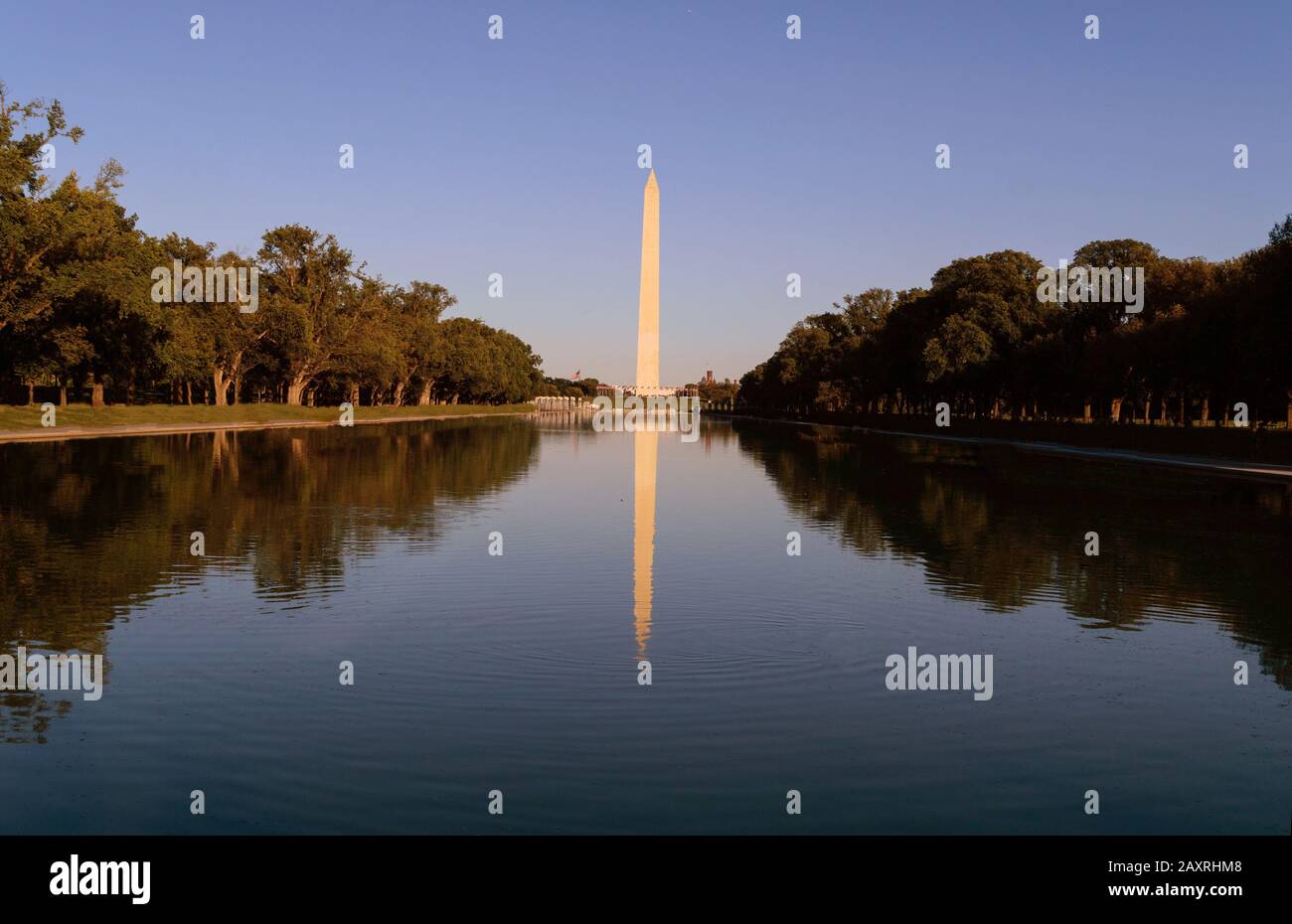 Washington Monument am Reflecting Pool in Washington, DC, USA im Morgengrauen. Stockfoto