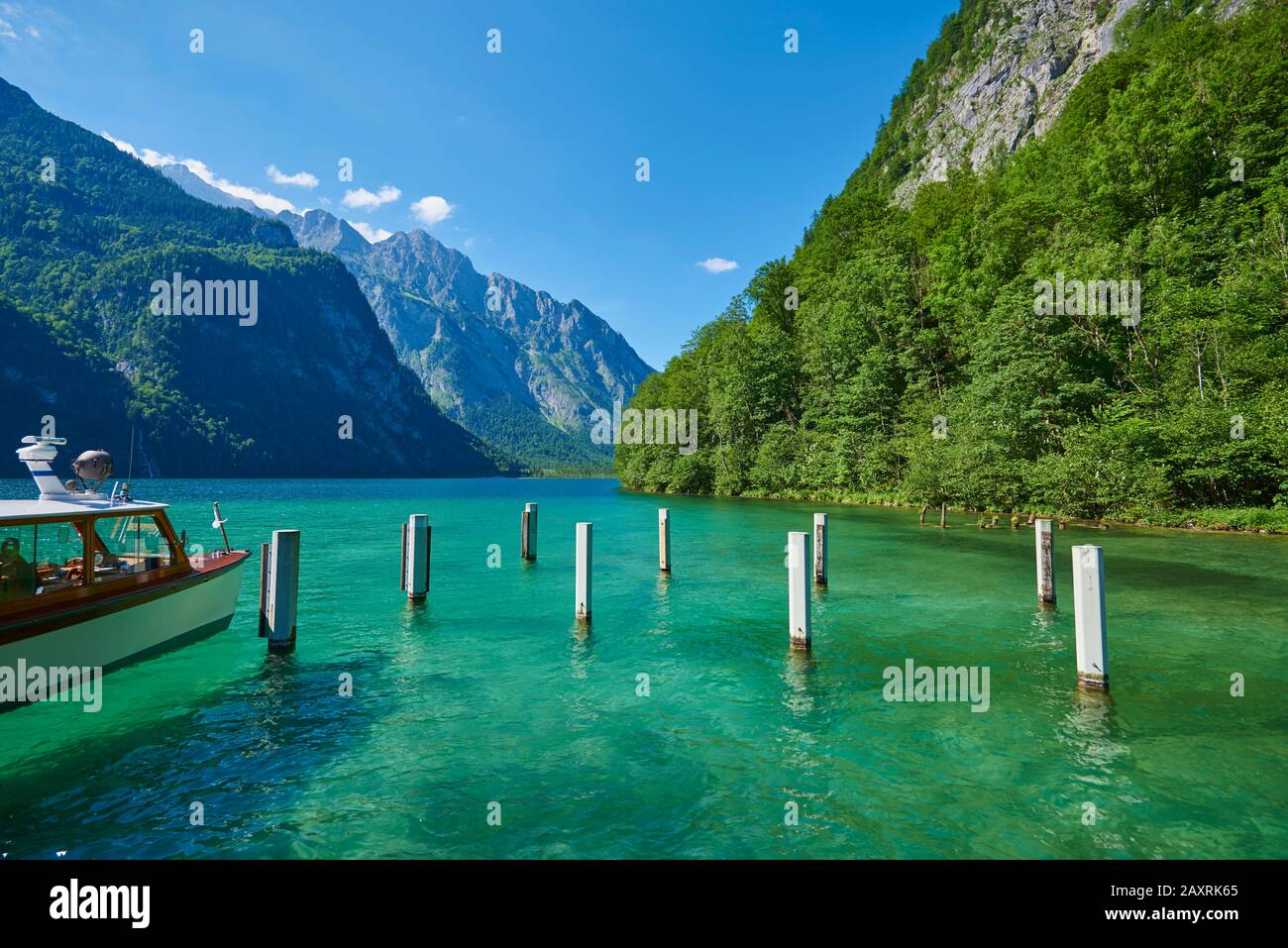 Landschaft, Holzpfähle, Königsee, Sommer, bayern, Deutschland Stockfoto