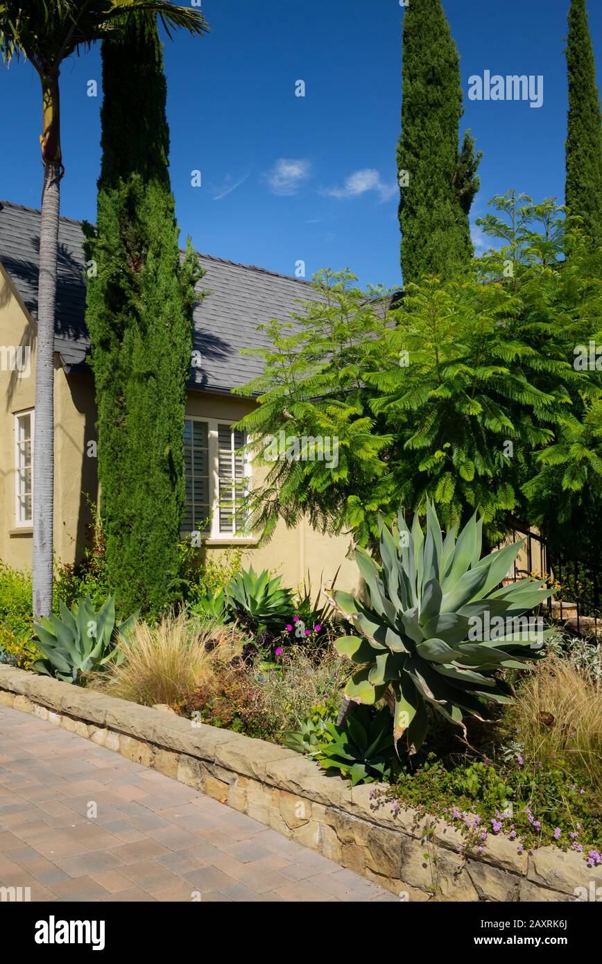 California Home Agave und andere Pflanzen für landschaftliche Inspiration und Designideen Stockfoto