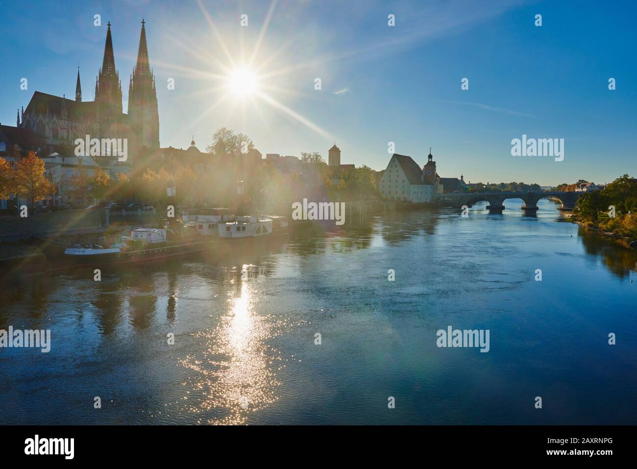 Regensburger Dom, Blick von Jahn-Insel, Marc-Aurel-Ufer, Herbst, Regensburg, Bayern, Deutschland, Europa Stockfoto