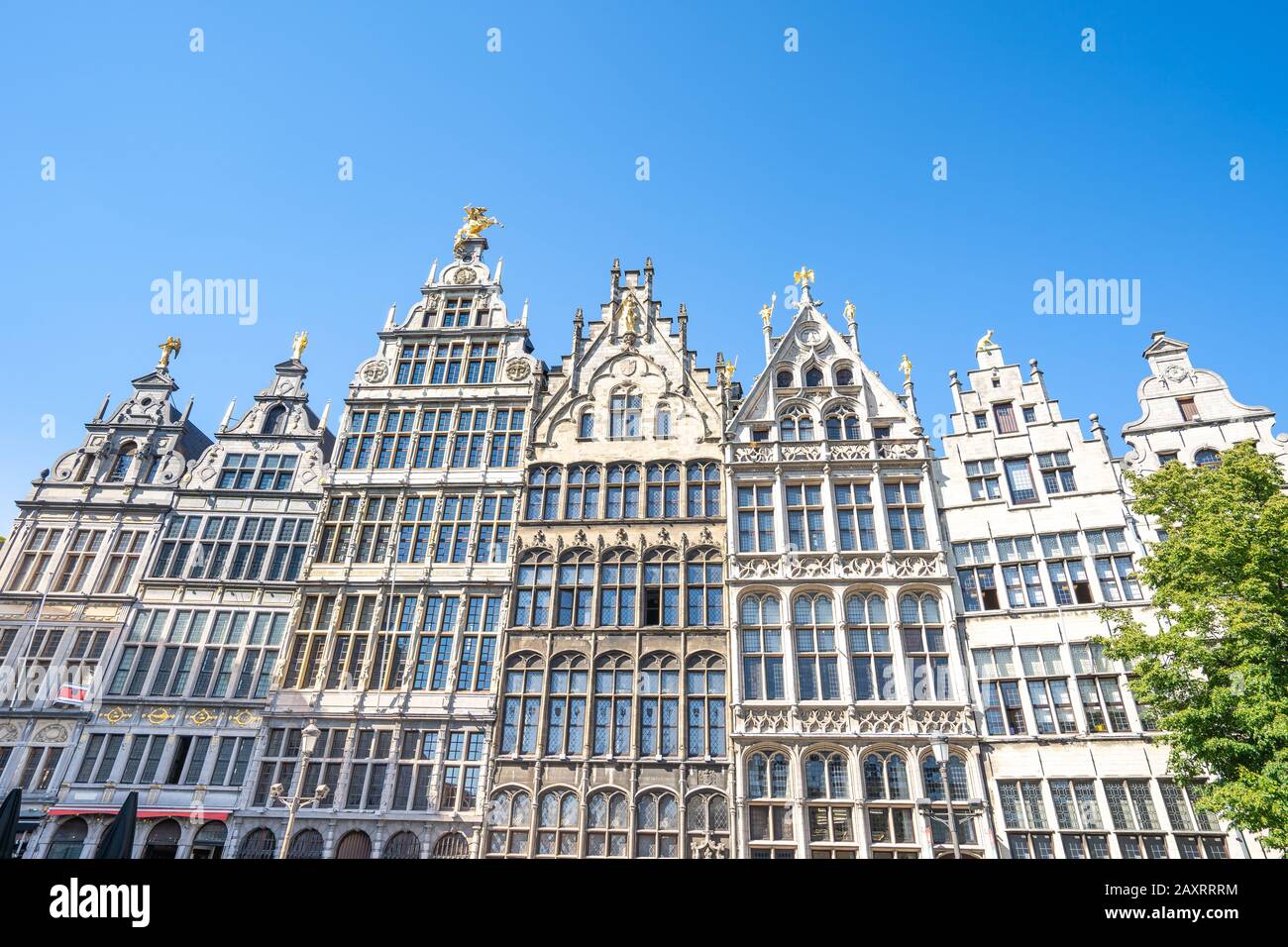 Guildhalls in Grote Markt von Antwerpen in Belgien. Stockfoto