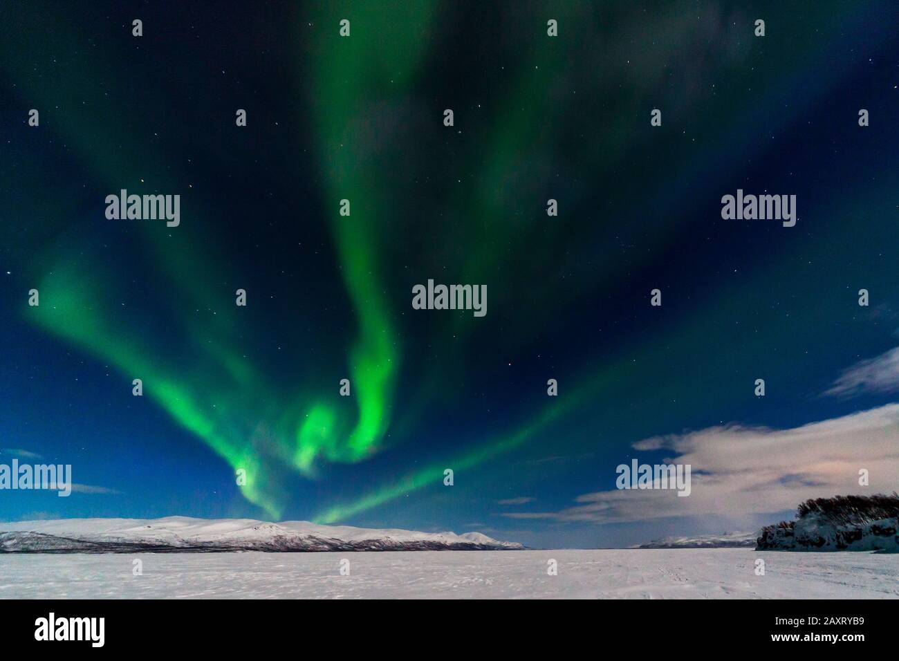 Schweden, Lappland, Nordlichter über verschneite Landschaft Stockfoto