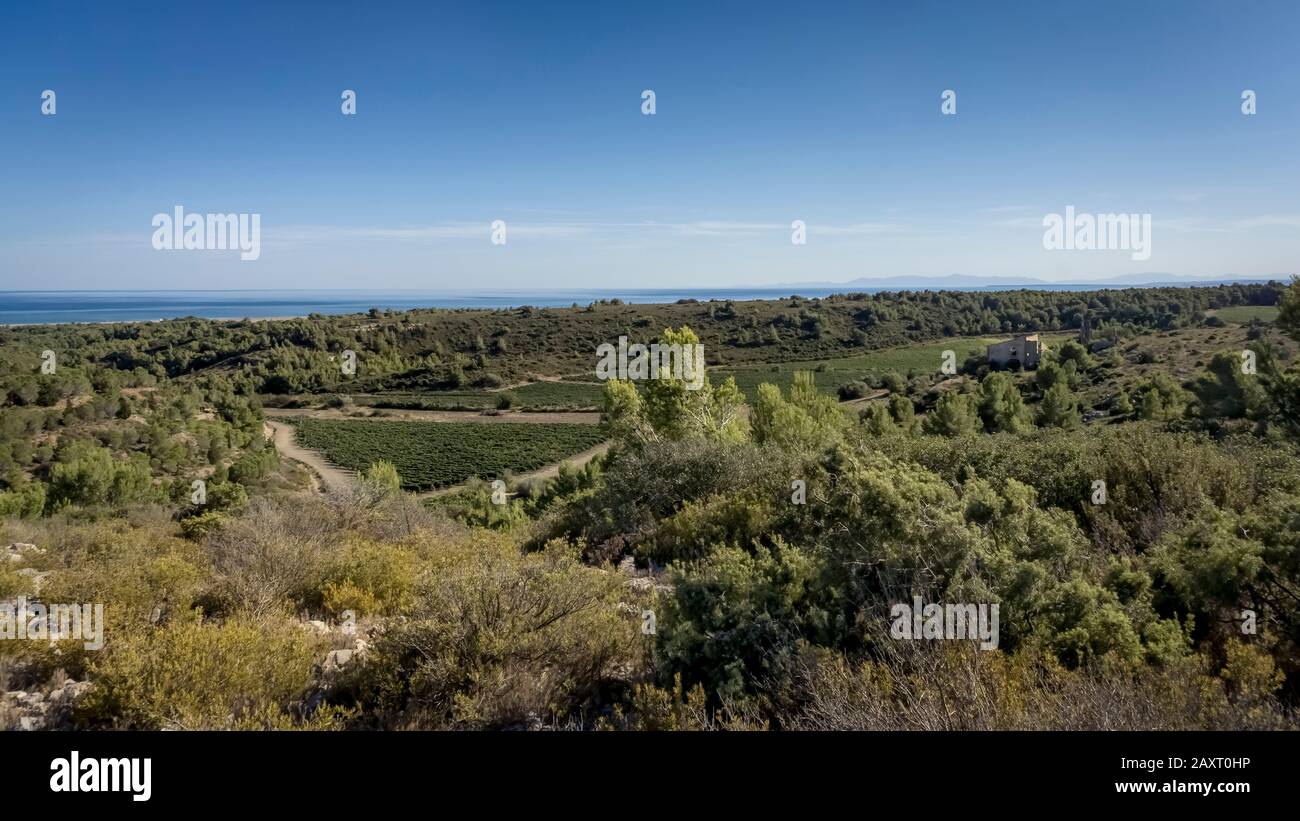 Weingut in Narbonne Plage. Stockfoto