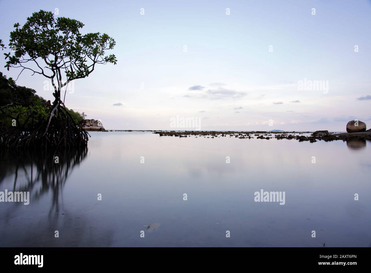 Mangrove Bay im Cempedak Private Island Resort, Bintan, Indonesien Stockfoto