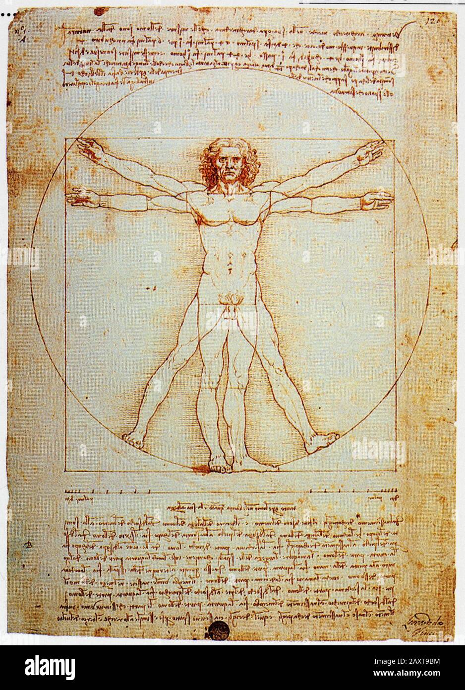 Leonardo da Vinci. Proportionen der menschlichen Figur. Frontispiece zu pacioli's de divina Proportione. 1498 Stockfoto