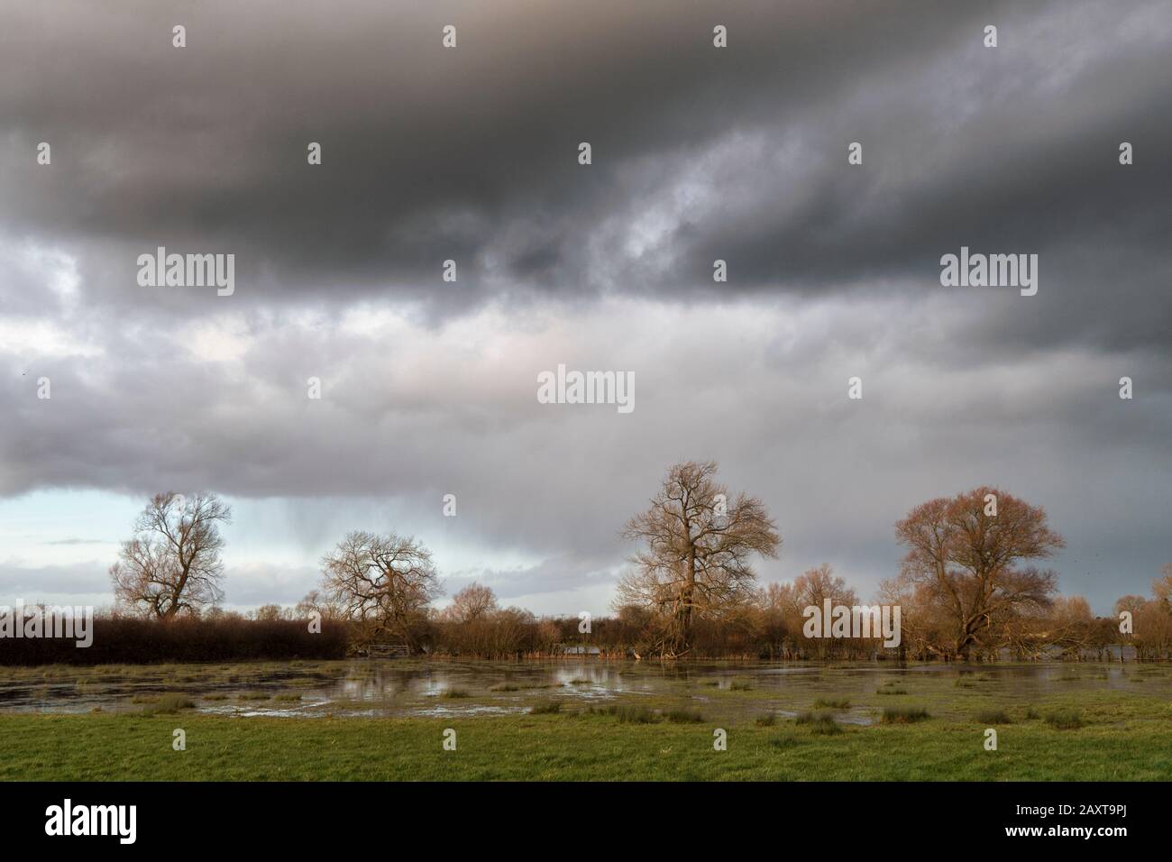 Überflutete Felder in der Nähe der Themse und des Themse-Pfades in der Nähe der Stadt Cricklade in Wiltshire Stockfoto