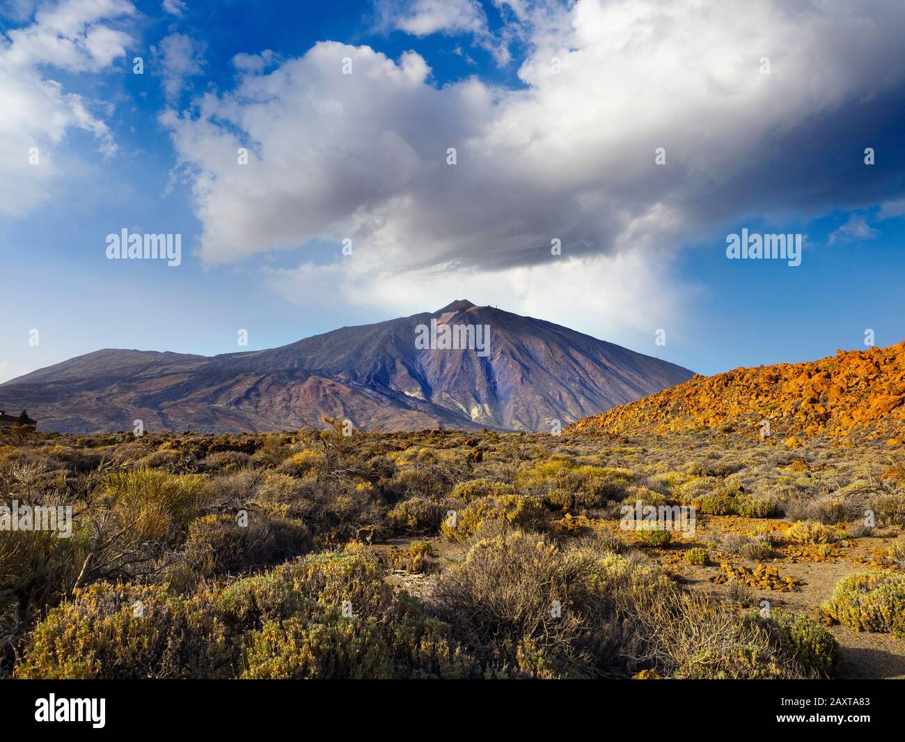 Mount Teide Spanisch: El Teide, Pico del Teide, Vulkan auf der Insel Tena auf den Kanarischen Inseln, Spanien Stockfoto