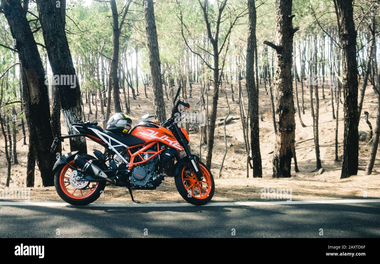 Ein KTM 390-Herzog parkte in einem Wald Stockfoto