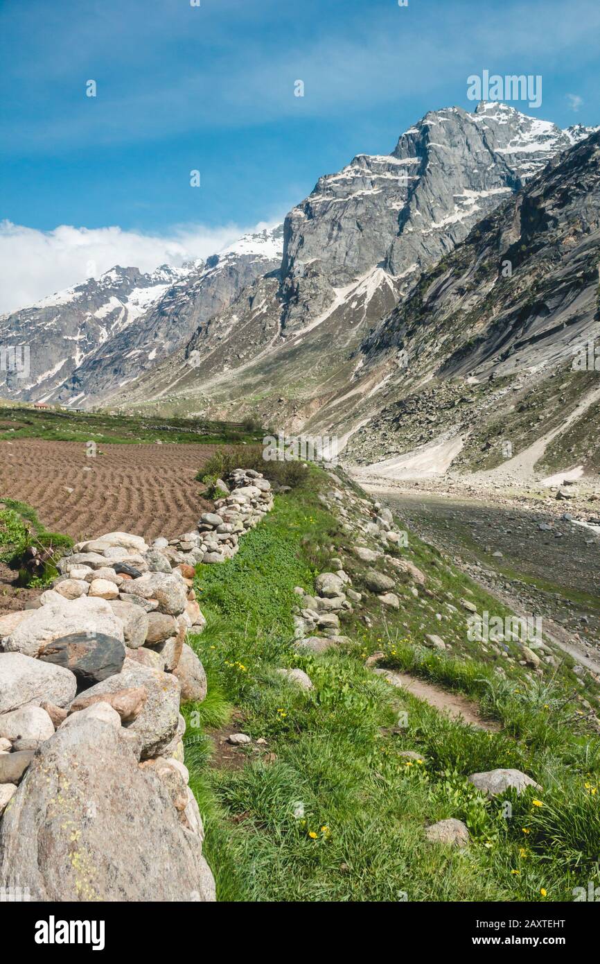 Bewirtschafttes Land mit Blick auf eine Bergkuppe Stockfoto