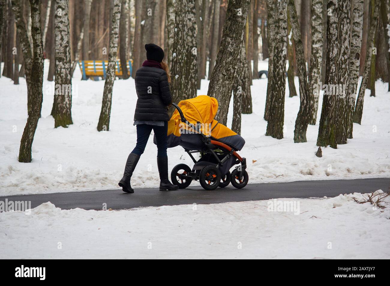 Eine Frau mit Kinderwagen Wandern im Winter Park während einer Schneefall. Völker Stockfoto