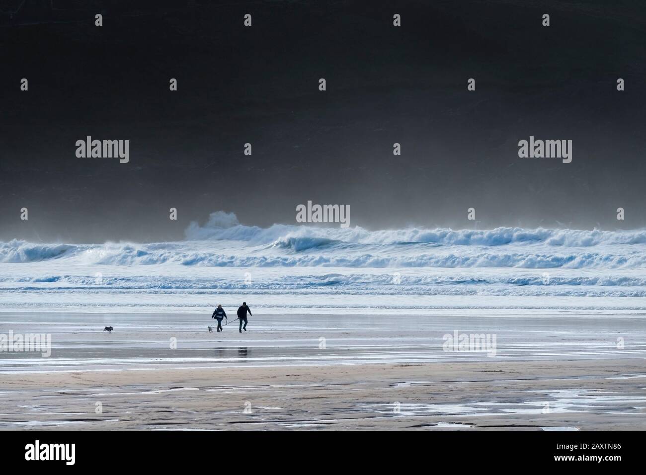Eine Fernansicht kleiner Figuren von Hundegängern und ihren Haustieren, die in Newquay in Cornwall bei starkem Wind am Fistral Beach spazieren gehen. Stockfoto