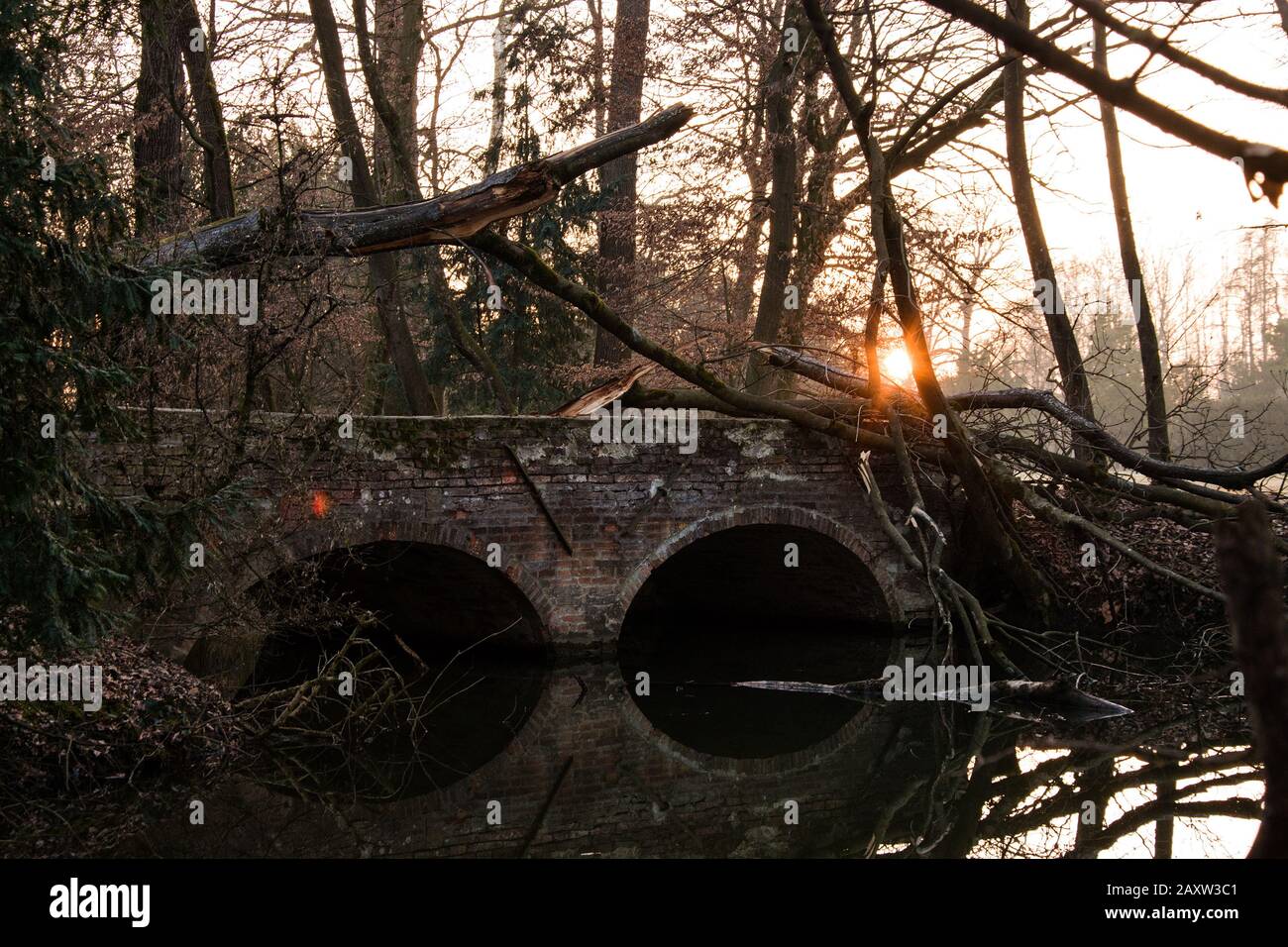 Zerbrochene Bäume über eine alte Brücke in der Nähe von Wasser Stockfoto
