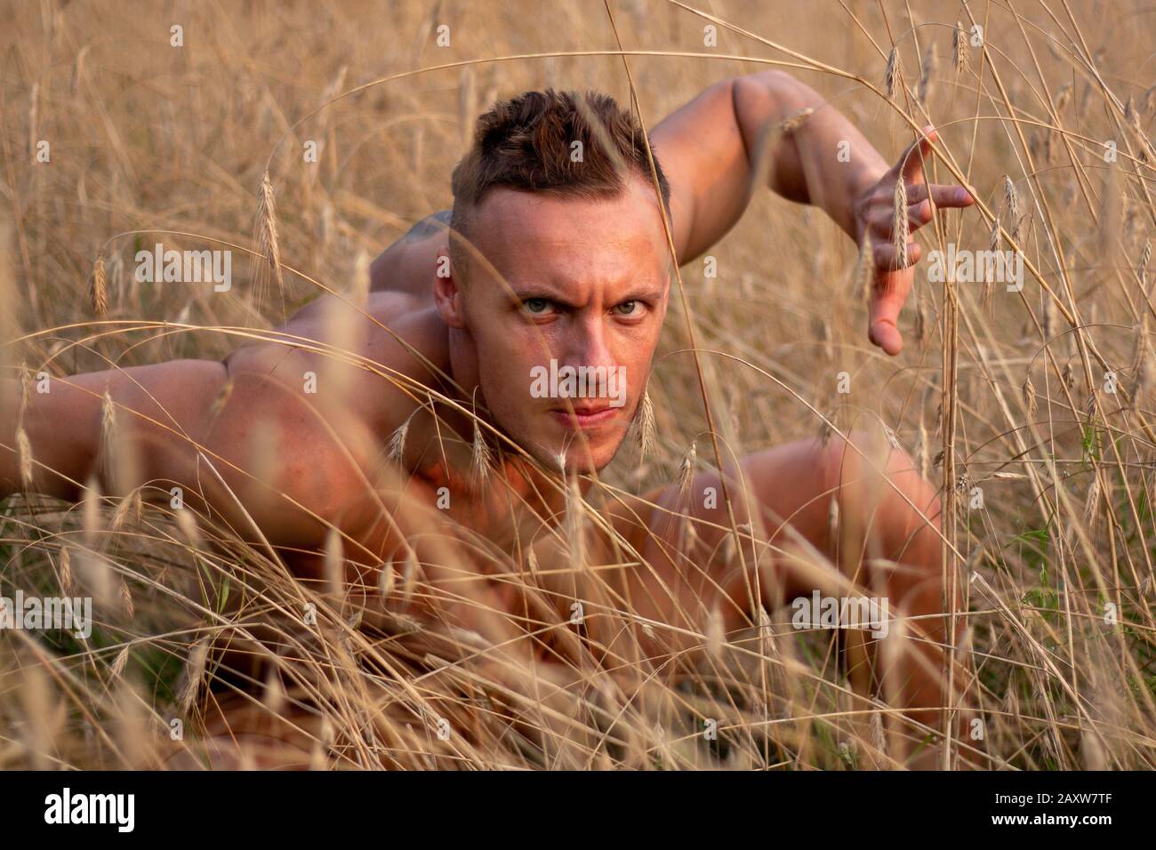 Ein Mann in gelbem Gras, in einer lustigen Pose. Stockfoto