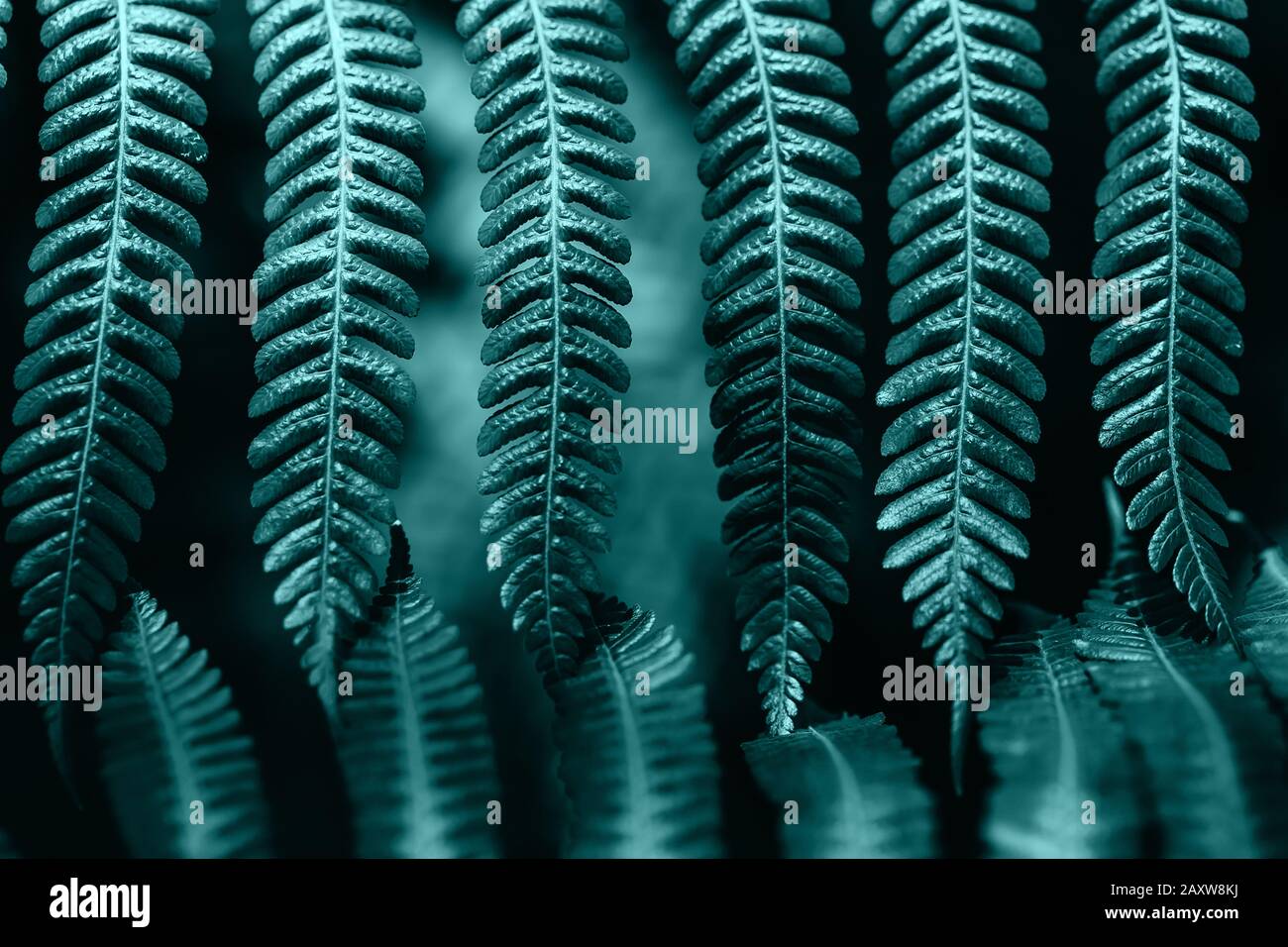 Kreatives und farbenfrohes Minzblau Farnblatt natürliche Blatttextur mit Blumenmuster Hintergrund. Stockfoto