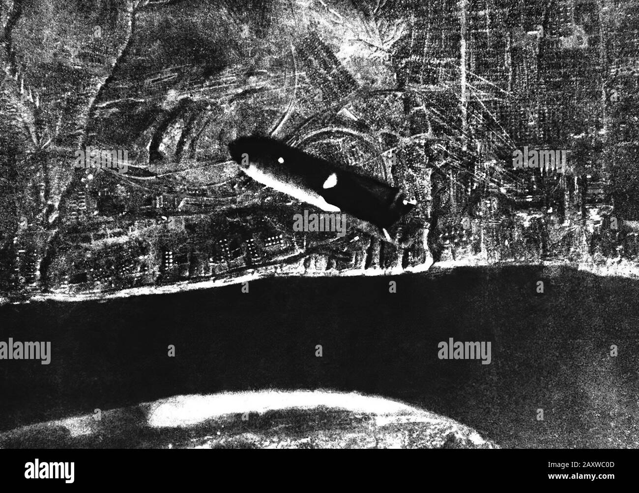 Blutige Schlacht an der Ostfront in Russland im Zweiten Weltkrieg Stockfoto