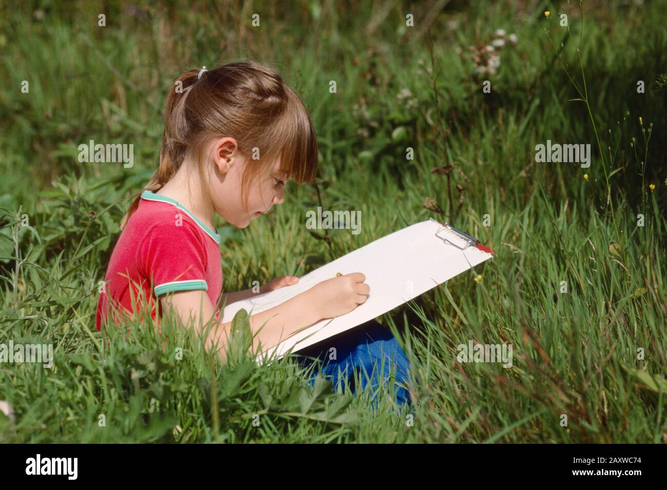 Mädchen, die in Graszeichnung sitzen und wilde Blumen in Skizzenblock kopieren, Großbritannien Stockfoto