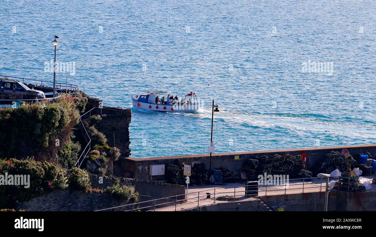 Besichtigungs-/Angelausflug direkt am Newquay Harbour. Cornwall. Stockfoto