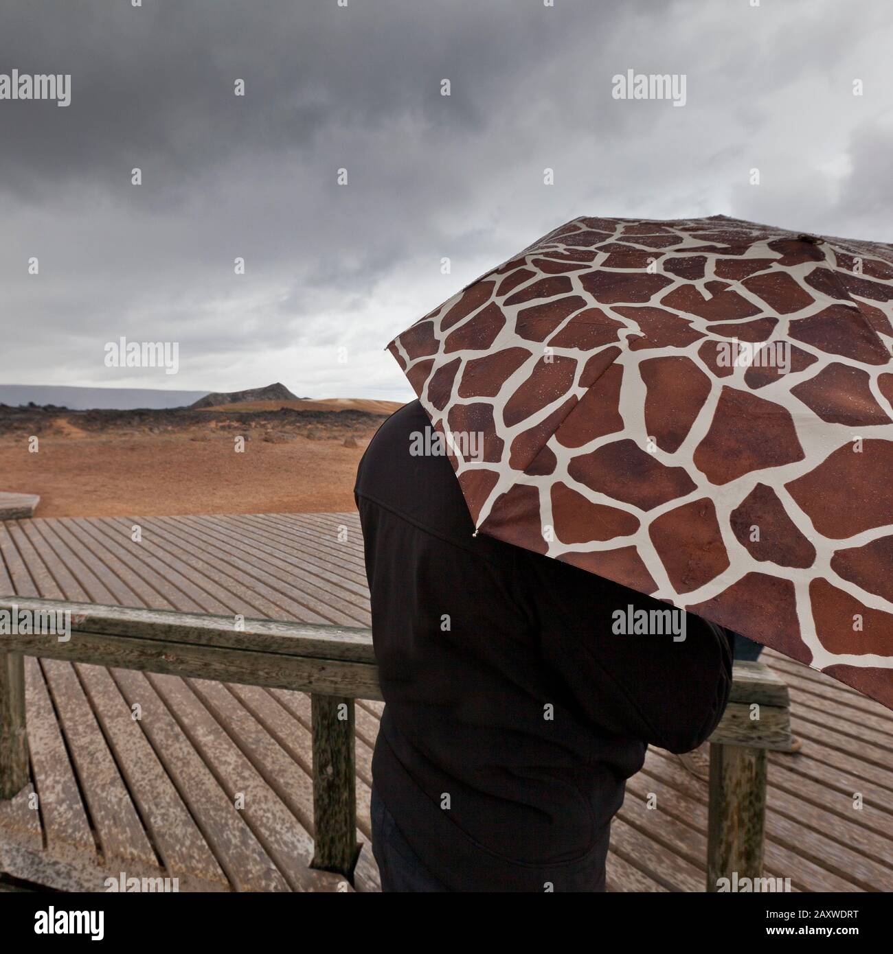 Regengebiet, Erdwärme - Vulkangebiet, Krafla, Nordisland Stockfoto