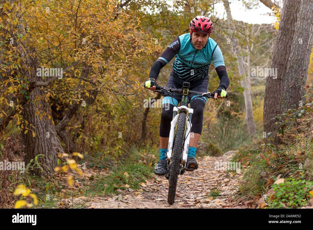 Man Mountainbiking im Wald, Herbstsaison. Banyeres de mariola Dorf, Costa Blanca, Provinz Alicante, Spanien Stockfoto