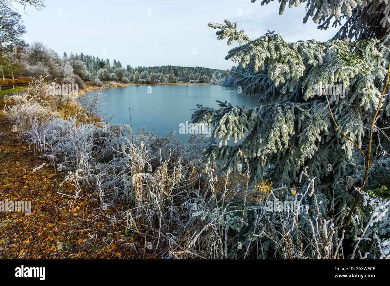 Oberharzer wasserregal der obere harz water regale Fotos und