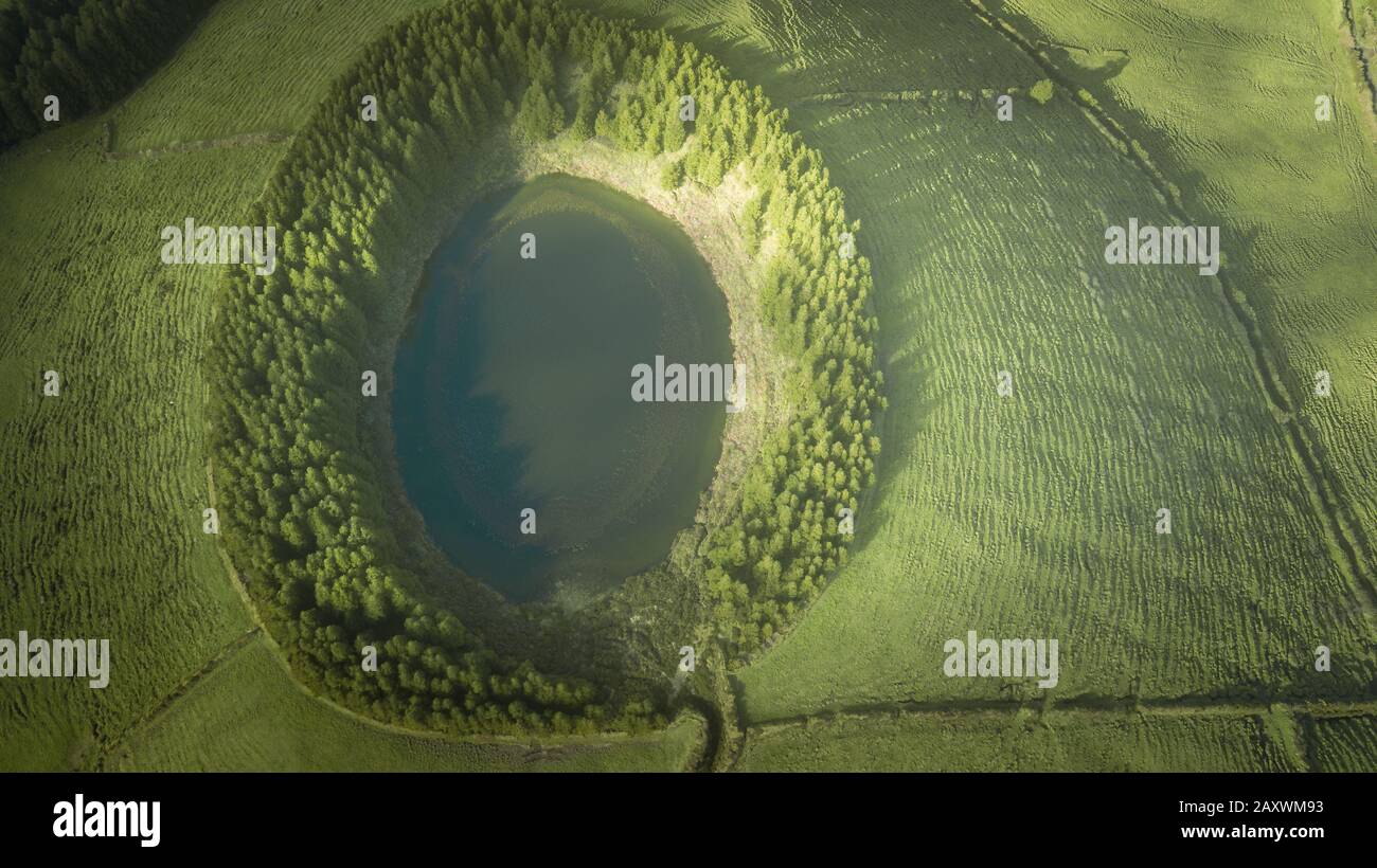 Lagune mit dem Namen "Lagoa do Canario" auf portugiesisch, umgeben von grünem Kiefernwald auf Sao Miguel, Azoren, Portugal. Stockfoto