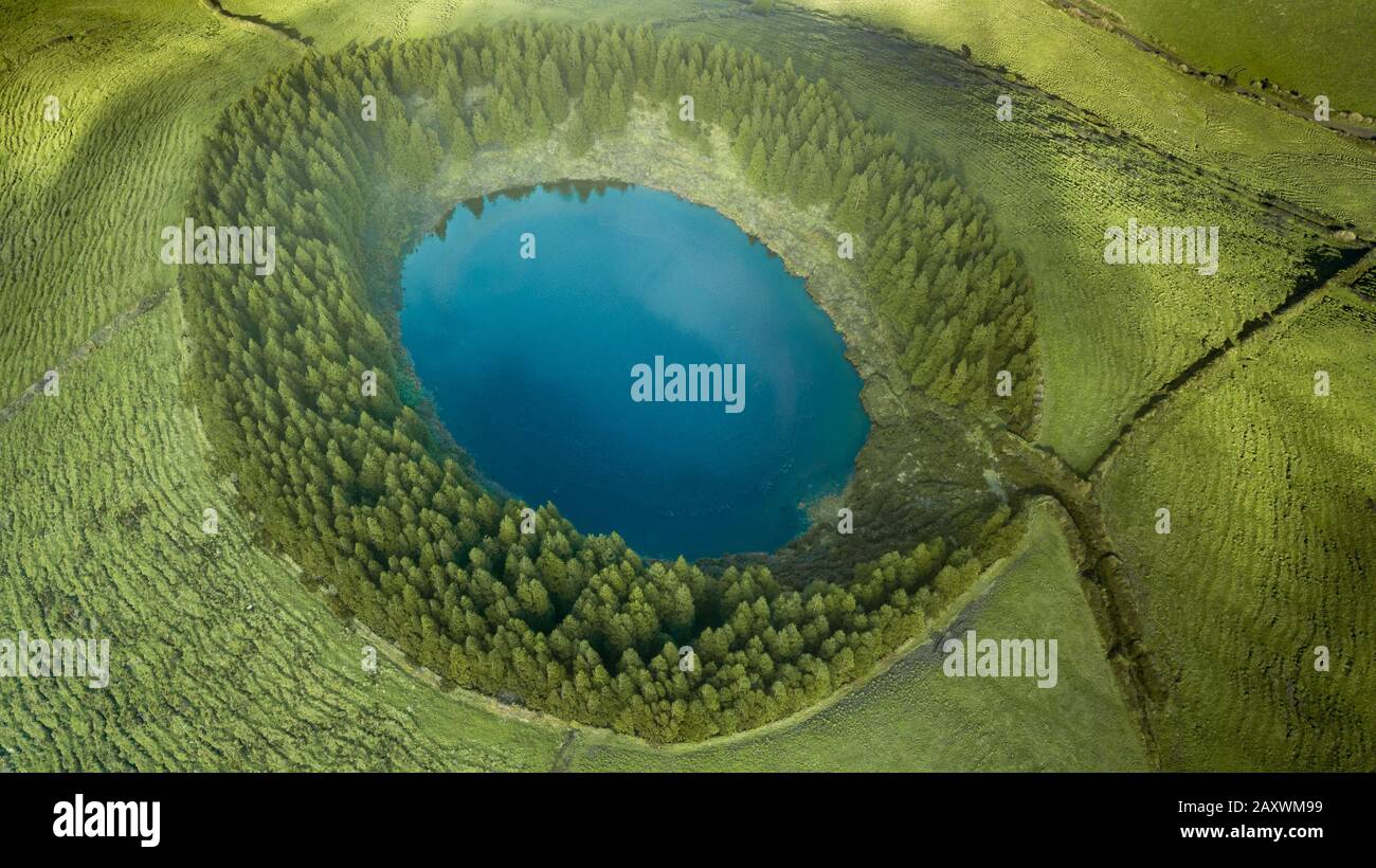 Lagune mit dem Namen "Lagoa do Canario" auf portugiesisch, umgeben von grünem Kiefernwald auf Sao Miguel, Azoren, Portugal. Stockfoto