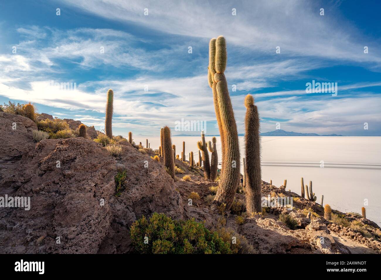 Uyuni Salt Flat, Bolivien Stockfoto