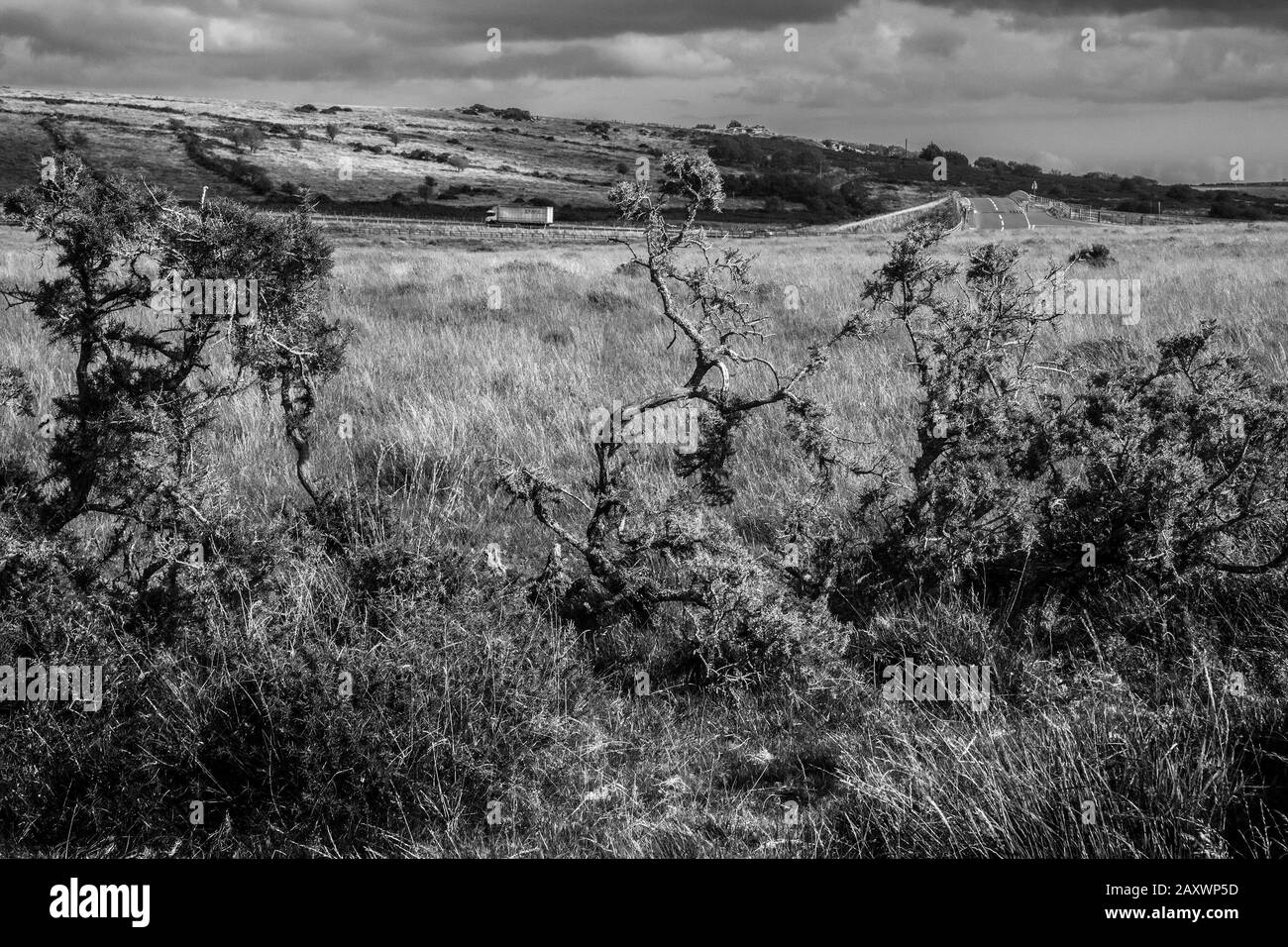 Lastwagen auf A30 durch Bodminmoor Stockfoto