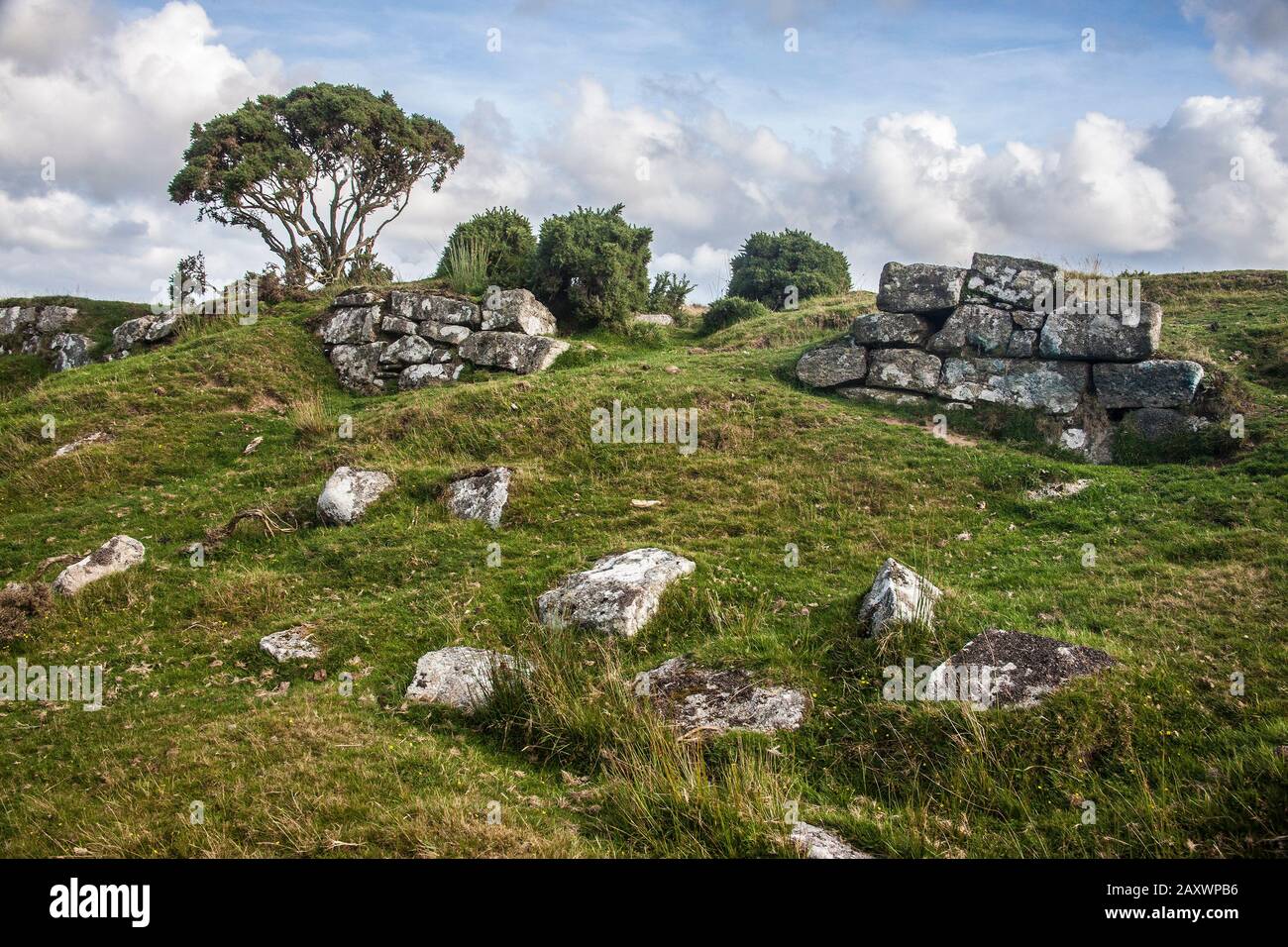 Bodmin moor, Landschaft, Granitruinen, Baum, Gorse, Felsbrocken, Stockfoto