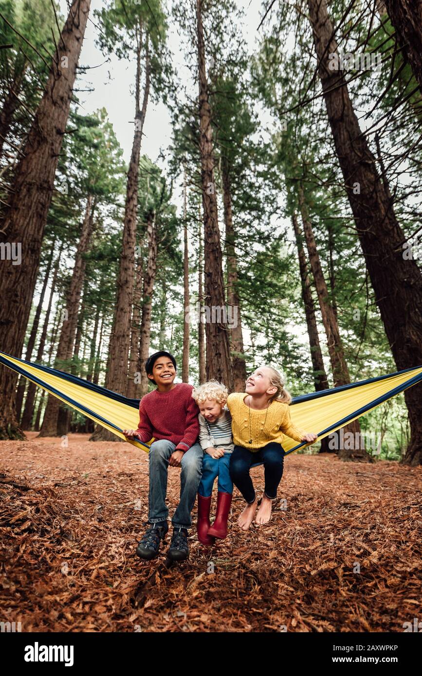Drei Geschwister in einer Hängematte im neuseeländischen Wald Stockfoto