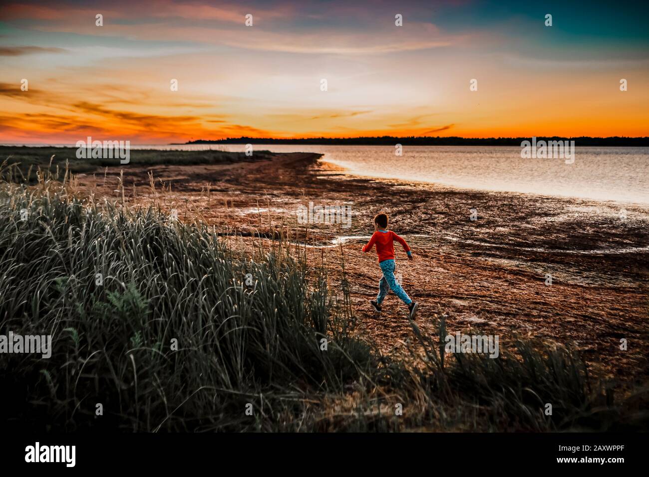7 Jahre alter Junge, der bei Sonnenaufgang läuft, um Muscheln zu finden Stockfoto