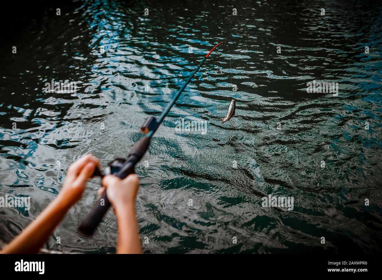 7 Jahre alter Junge, der einen Fisch auf seine Angelrute bekommt Stockfoto