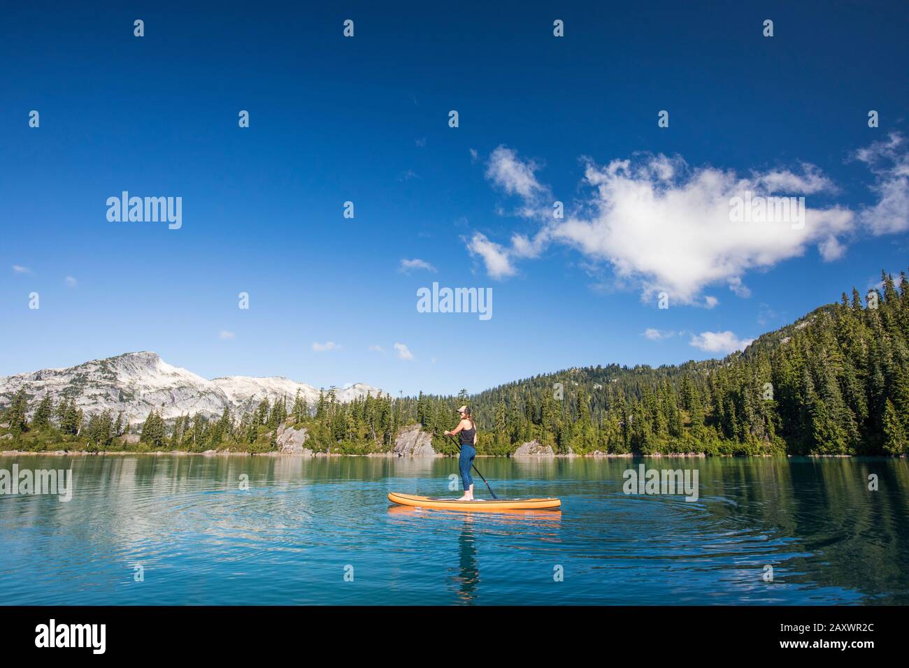 Gesunde fit Frau mit Stand-up Paddle Board auf See. Stockfoto