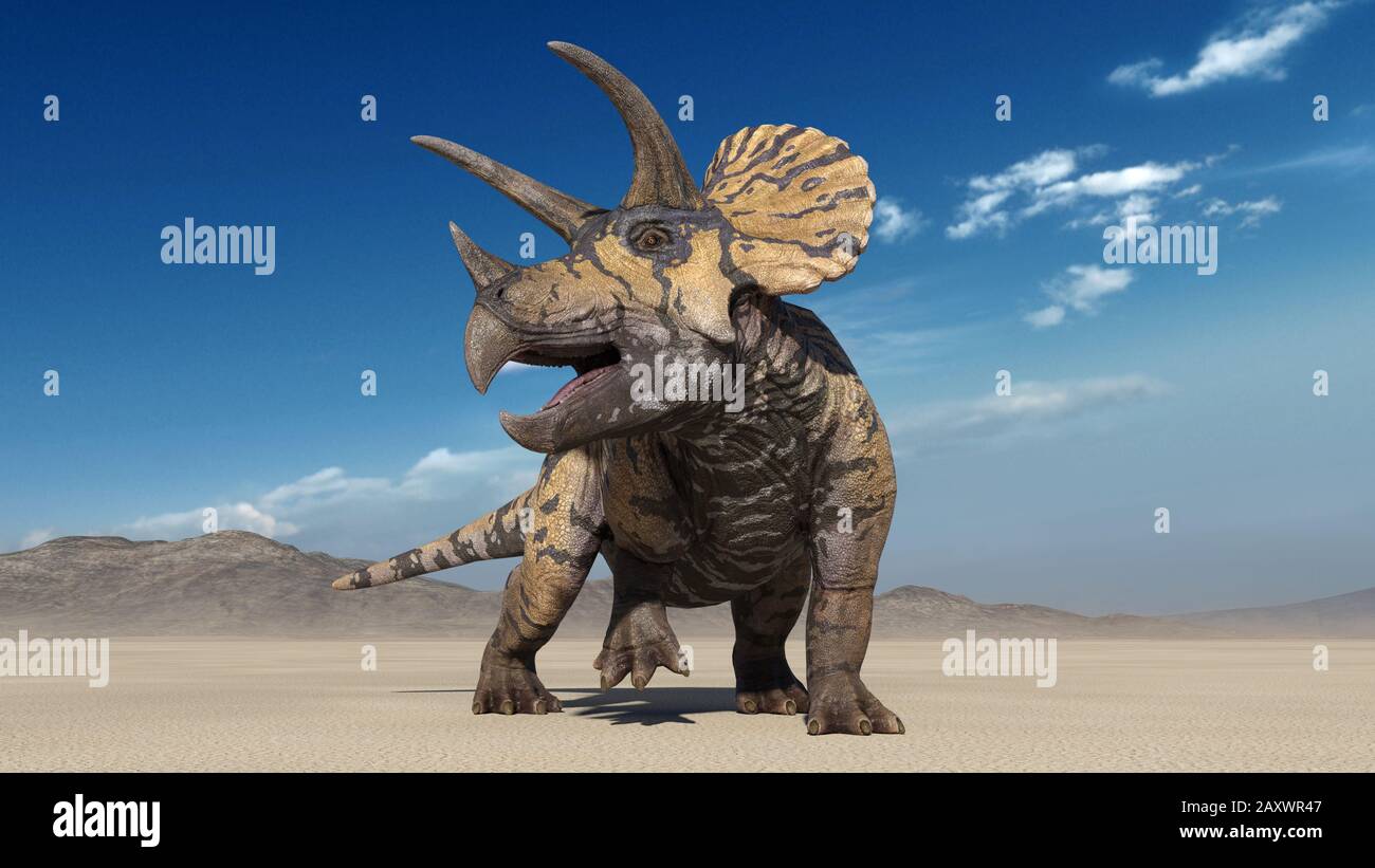 Triceratops, Dinosaurier-Reptilien, prähistorische Jura-Tiere brüten in menschenleeren Naturumgebungen, Vorderansicht, 3D-Illustration Stockfoto