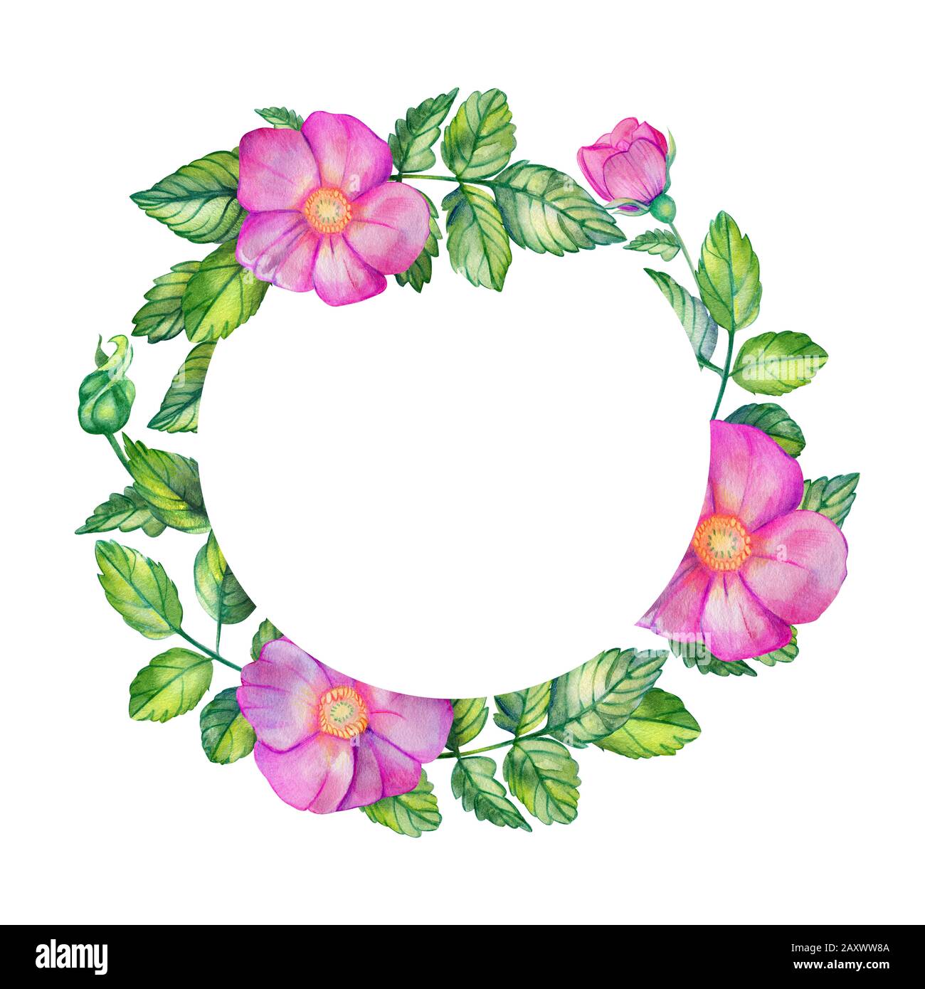 Aquarellkranz mit wilder Rose. Rosa Blumen, Blätter, Knospen und Blumenstrauß isoliert auf weißem Hintergrund mit Platz für Text. Handgezeichnete Hochzeitskarten de Stockfoto