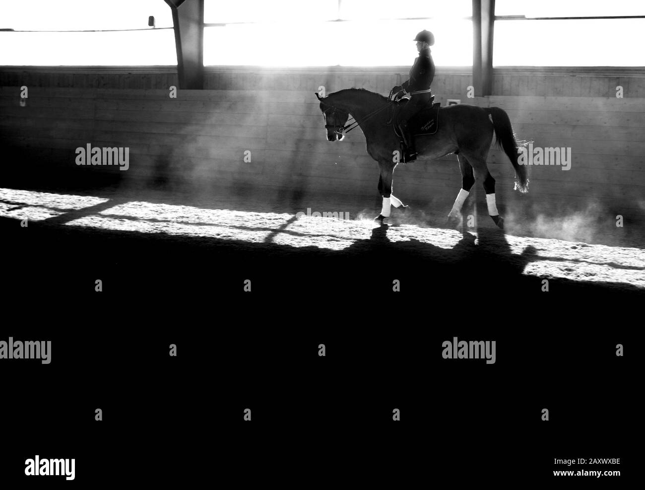 Frau, die in einem Reithaus auf dem Pferd reitet.Foto Jeppe Gustafsson Stockfoto