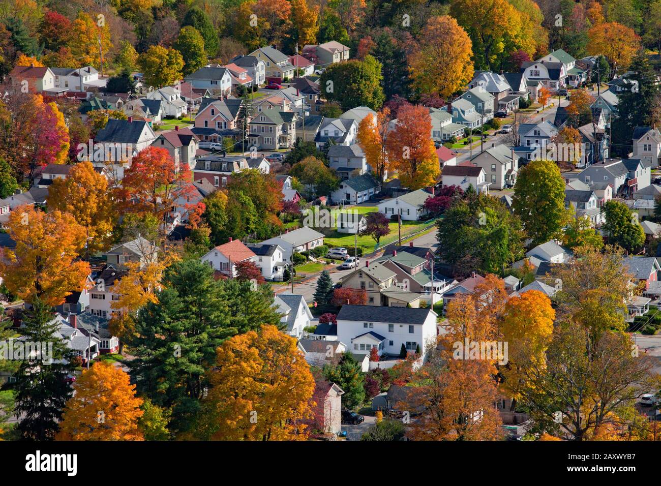 Ein Wohnviertel mit Baumgestaltung in der Stadt Port Jervis im Orange County, New York Stockfoto