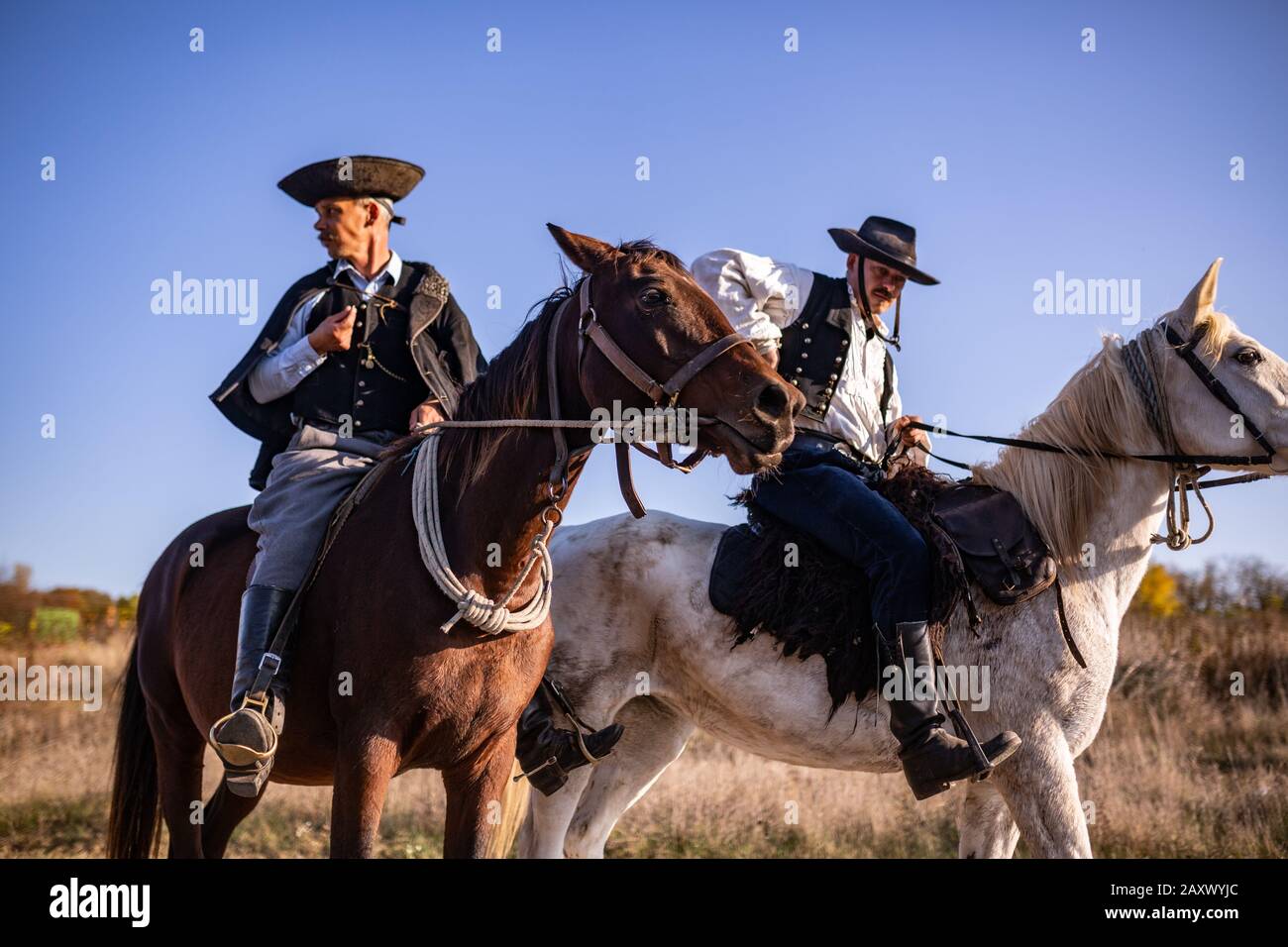 Traditionelle ungarische Reiter auf dem Land Stockfoto