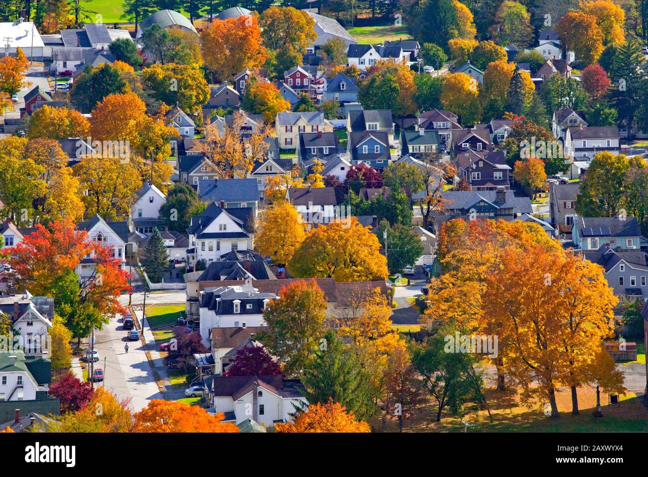 Ein Wohnviertel mit Baumgestaltung in der Stadt Port Jervis im Orange County, New York Stockfoto