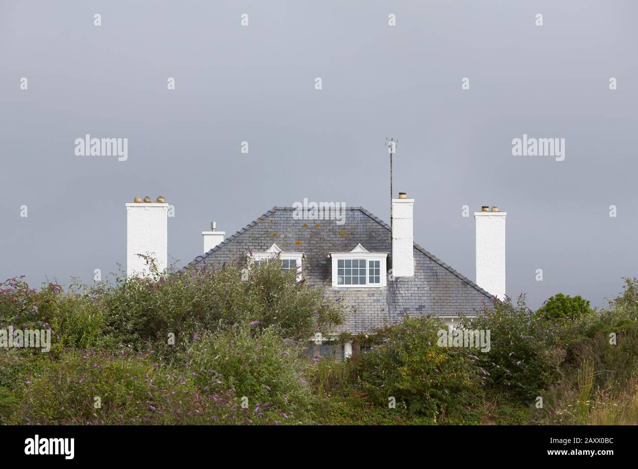 Haus mit vier weißen Kaminen stapelt zwei dormere Fenster auf Schieferdach, die teilweise von Bäumen vor grauem Himmelshintergrund verdeckt sind,Abersoch North wales uk Stockfoto