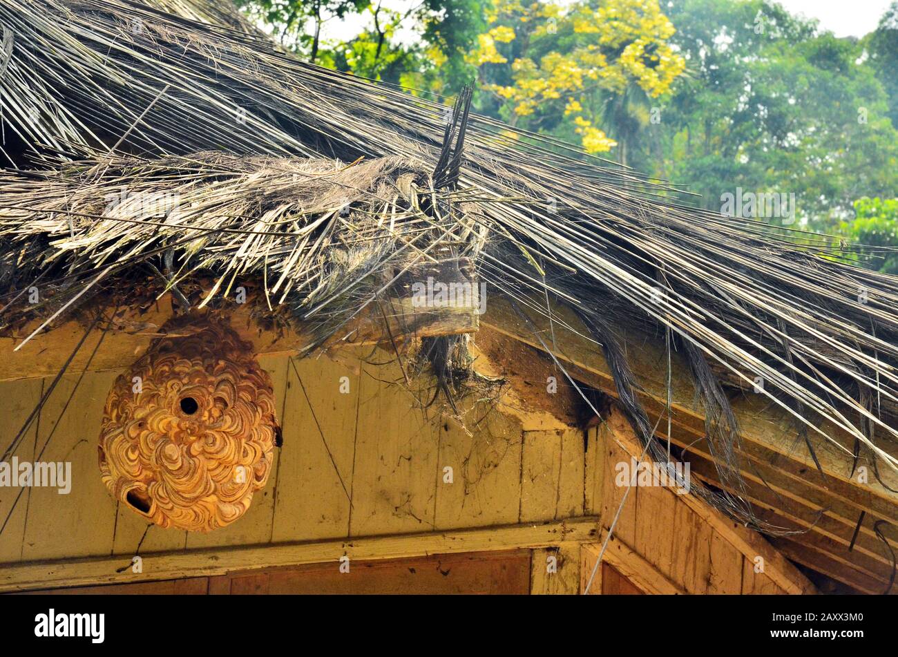 Ein Palmenfaserdach aus ethnischem Holzhaus mit hängendem Bienenstock in Tasikmalaya, Westjava, Indonesien Stockfoto