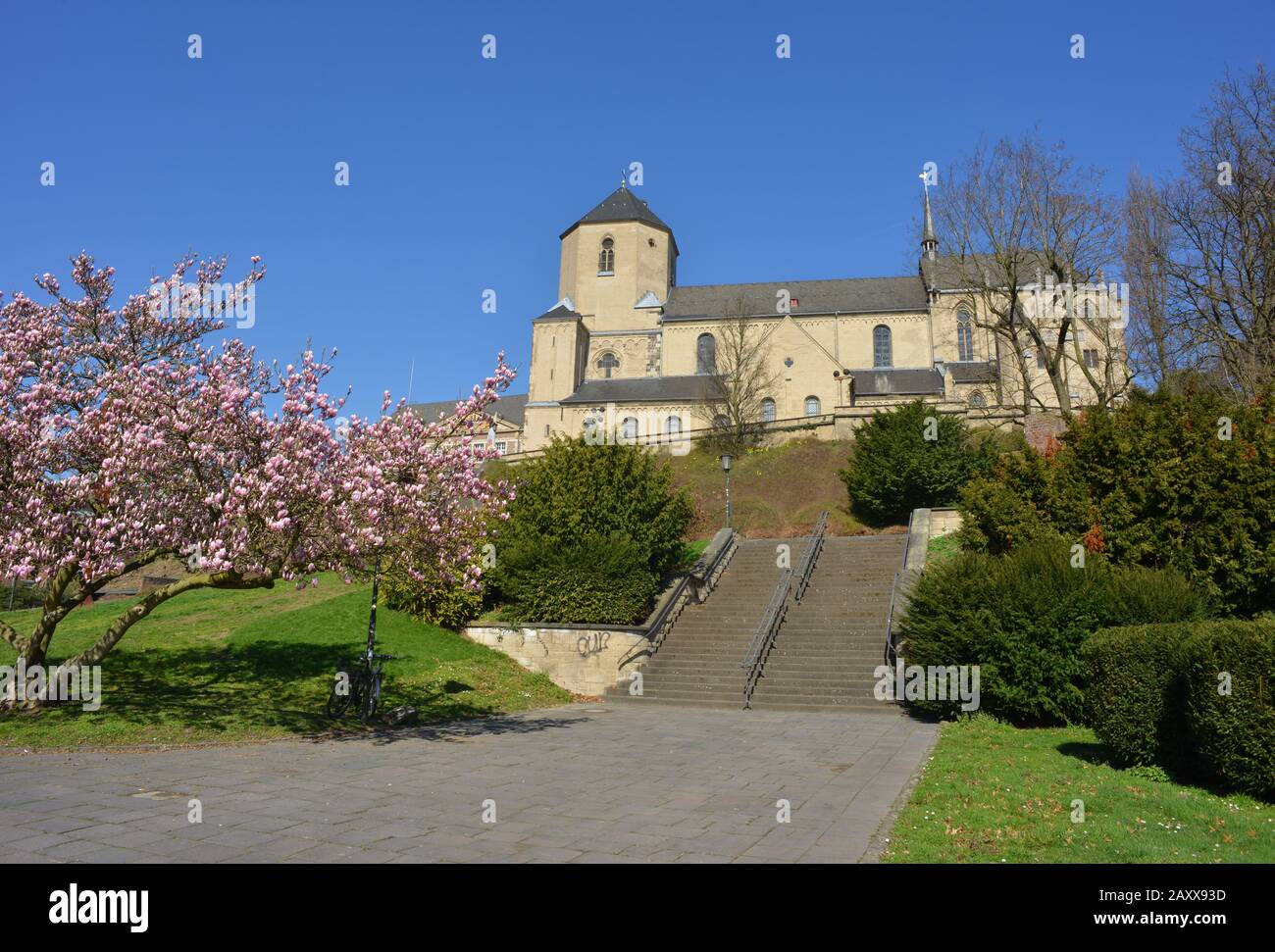 St.-Vitus-Kirche mit magnolienbaum in Mönchengladbach Stockfoto