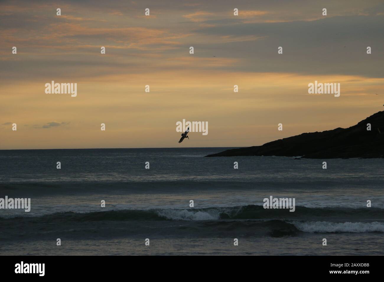 Sonnenuntergang über dem Strand in San Juan del Sur, Nicaragua mit Pelikantauchen in Wellen der Meeresbrandung Stockfoto