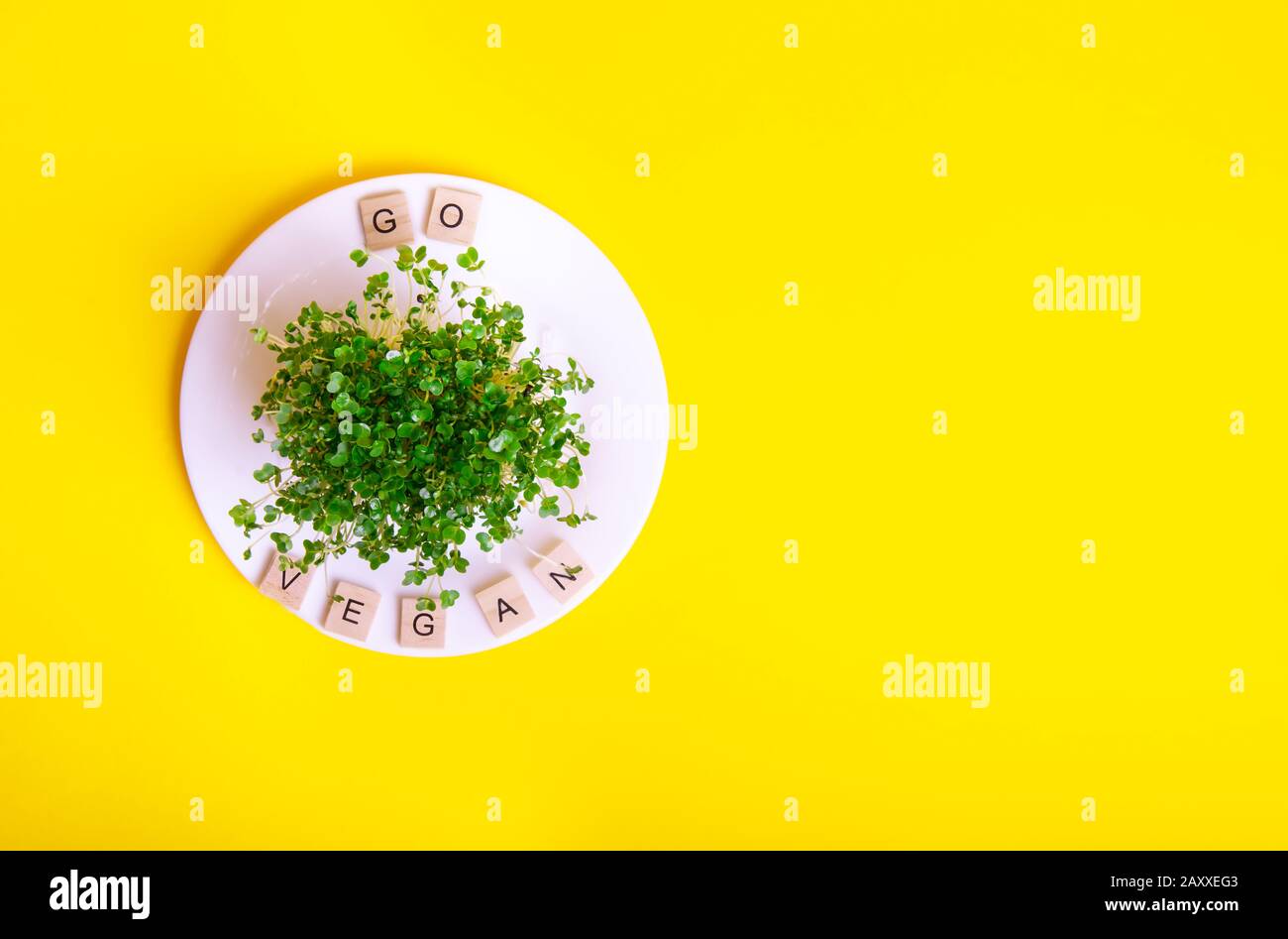 Weiße Platte mit mikrogrünen Sprossen von oben und Vegane Botschaft auf Holzblöcken auf gelbem Hintergrund. Vegetarische und vegane Ernährung. Veganismus. Sust Stockfoto