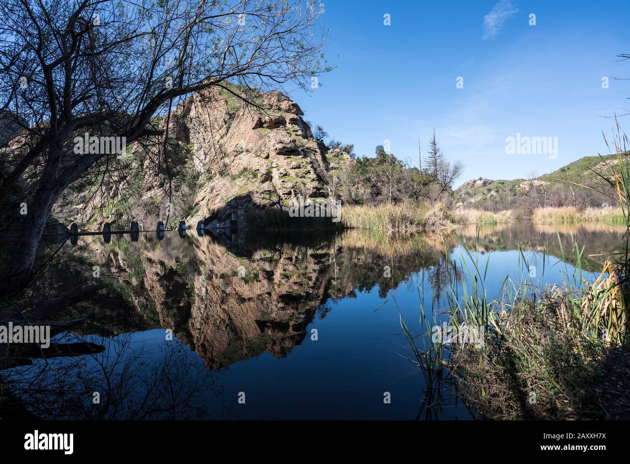 Jahrhundert See im Malibu Creek State Park in den Santa Monica Mountains in der Nähe von Los Angeles, Kalifornien. Stockfoto