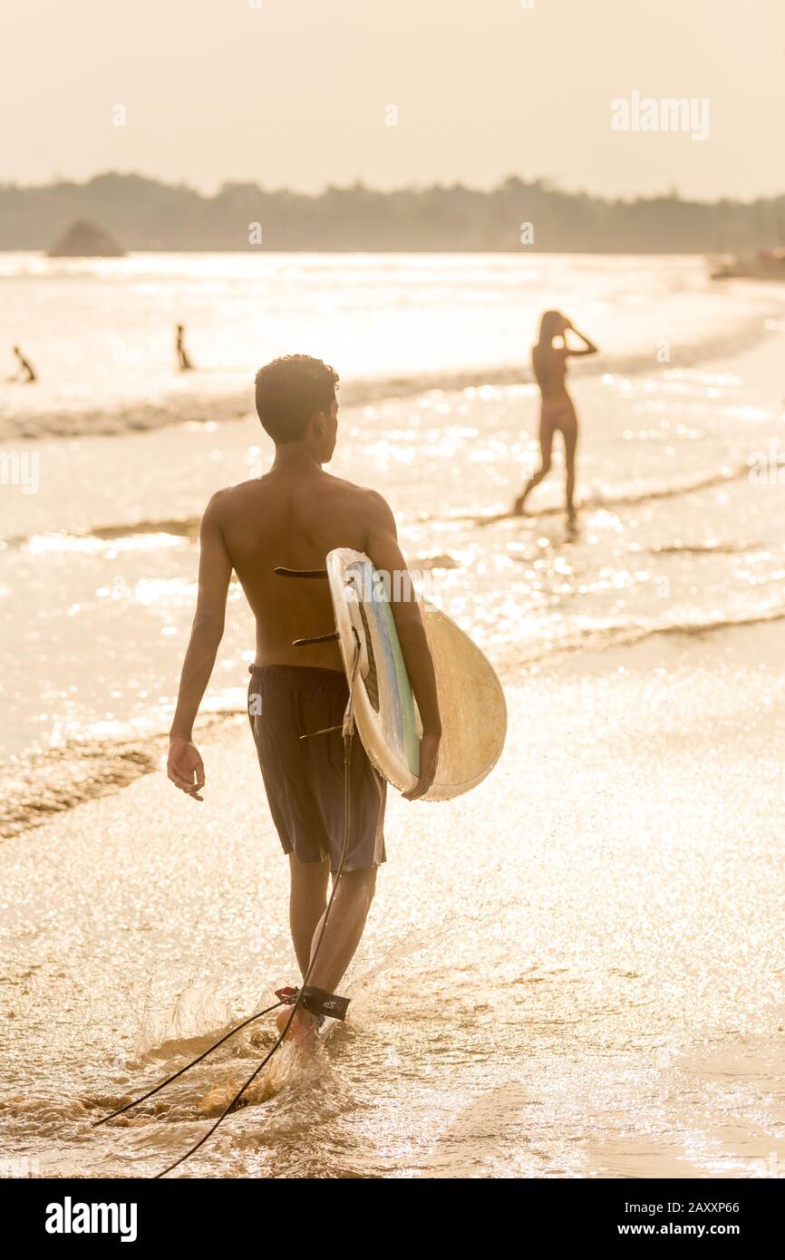 Mann, der am tropischen Strand von Midigama, Sri Lankha bei sunsen mit Surfbrett in seinen Händen spazieren geht. Stockfoto