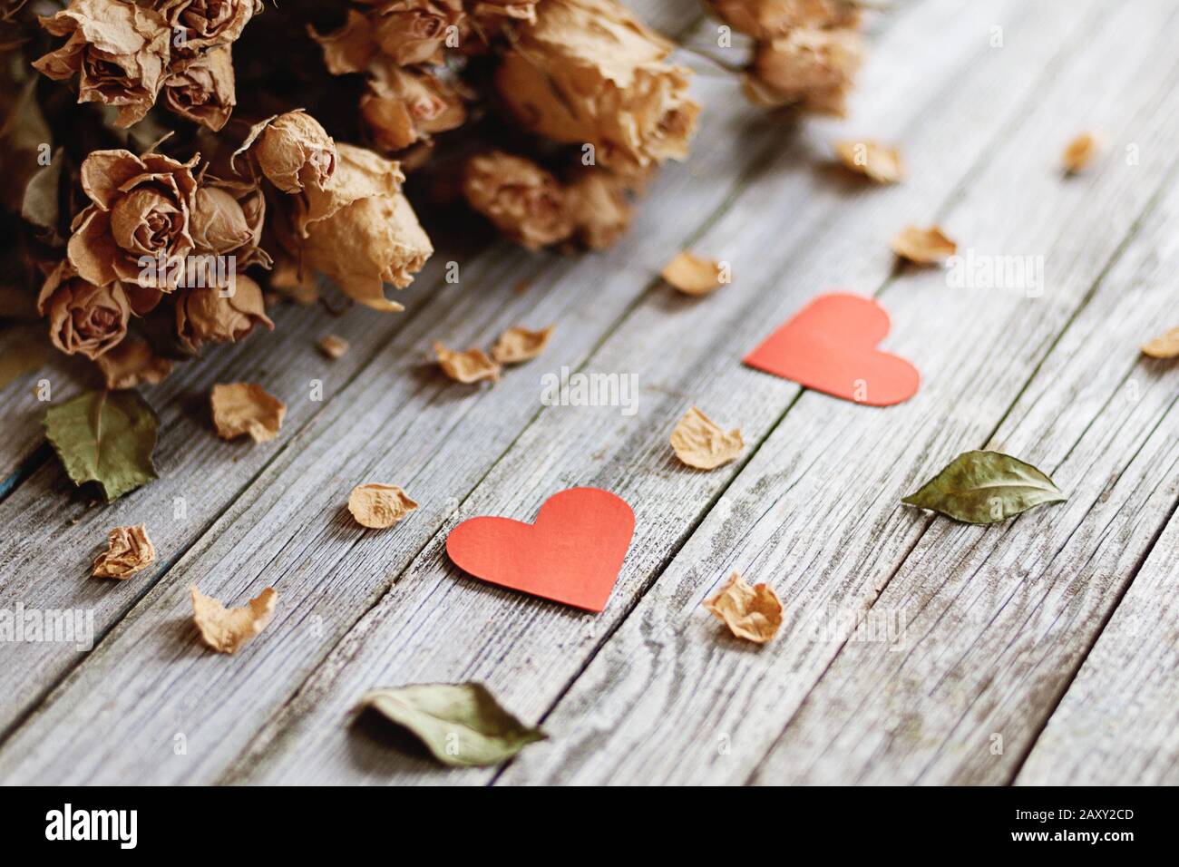 Erinnerungen an romantische Liebe. Zwei rote Herzen und ein getrockneter Rosenstrauß auf grauem Holz Stockfoto