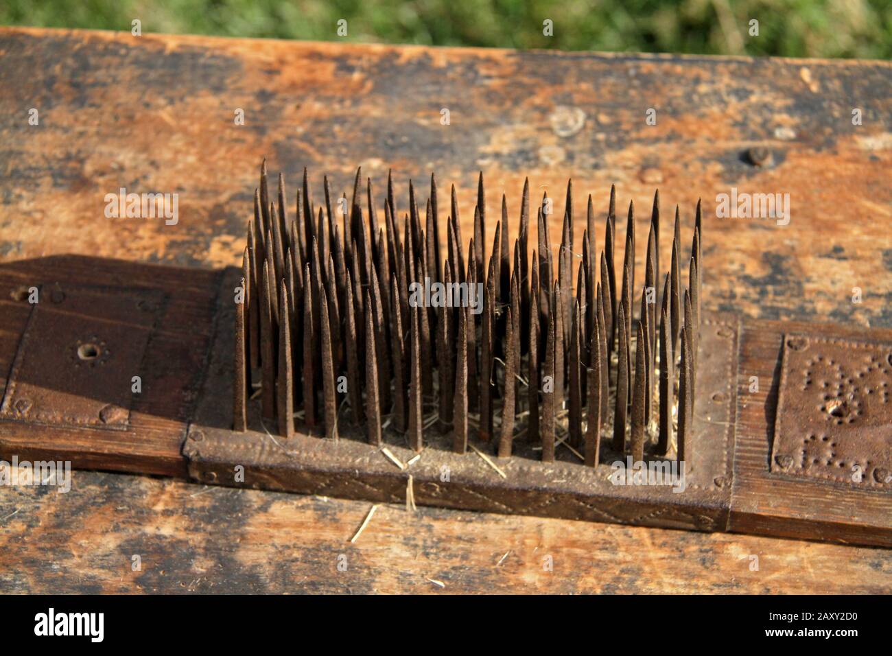 Flachshetchel/-Kamm, altes Werkzeug zum Trennen der Flachsfasern bei der  Herstellung von Leinen Stockfotografie - Alamy