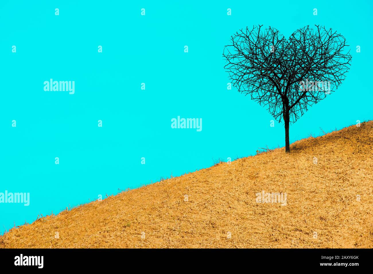 Der Bergbaum in Form eines Herzens auf hellblauem Hinterteil mit Platz für Text, Valentinstag Hintergrund. Stockfoto