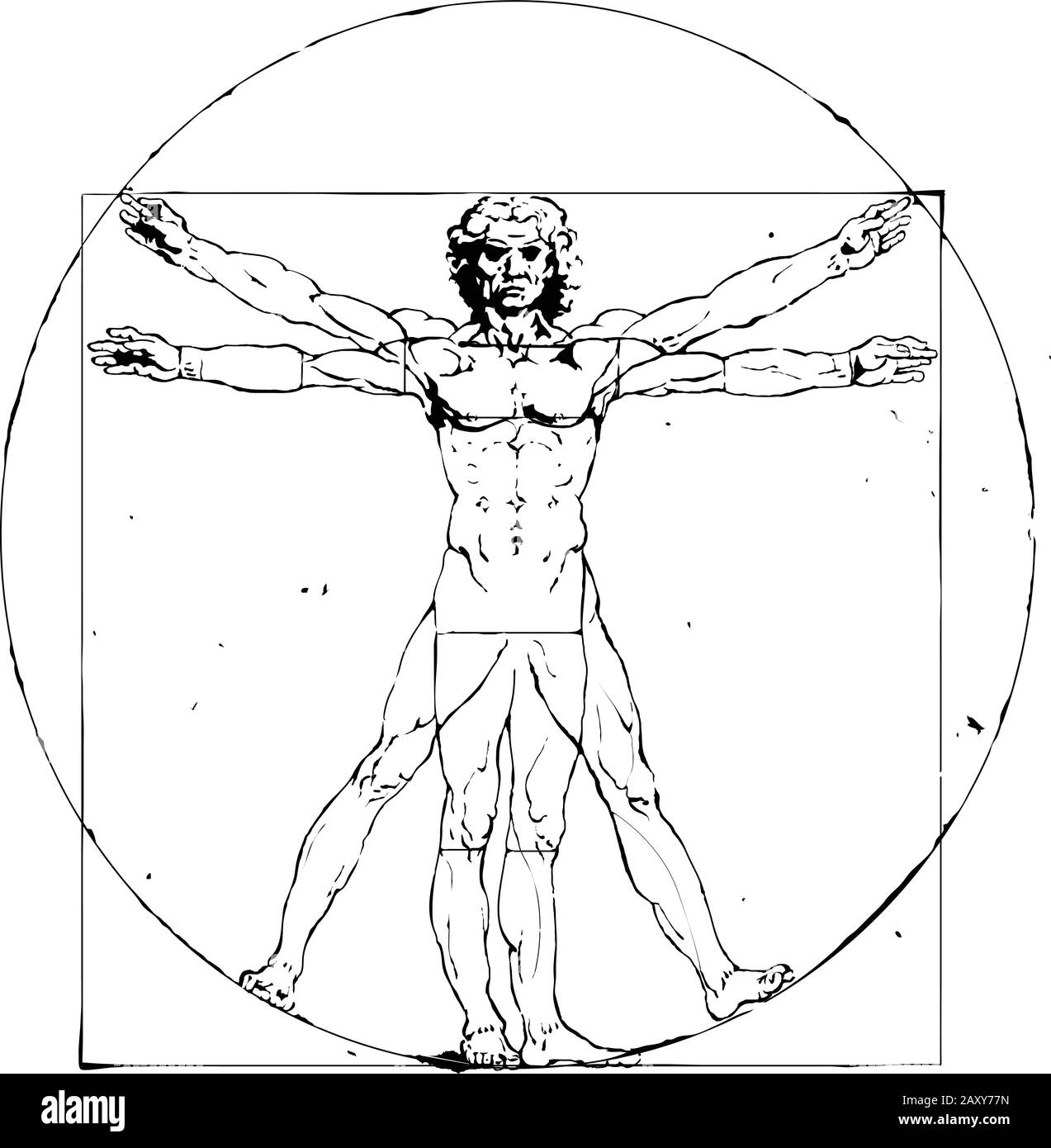 Vitruvian Mann Leonardo da Vinci Stock Vektor